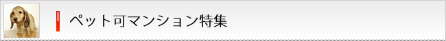 �y�b�g�}���V�������W